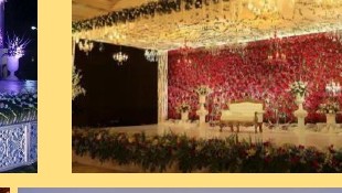 Reception Floral Wall Stage - Langa Party Booking Rajasthan
