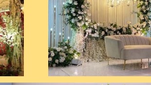 Greenery Arch Stage - Langa Party Booking Rajasthan